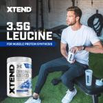 Scivation Xtend BCAA Amino Acids - 30/90 Servings
