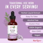 MaryRuth Organics Herbal Sleep Support Drops