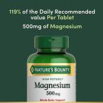 Nature’s Bounty Magnesium 500 mg, 200 Tablets