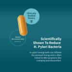 Digestive Enzyme Capsules for Gut Health Relief