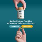 Digestive Enzyme Capsules for Gut Health Relief