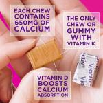 Viactiv Calcium & Vitamin D Caramel Soft Chews
