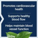 Life Extension Potassium & Magnesium for Blood Pressure