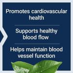 Life Extension Potassium Plus Magnesium for Heart Health