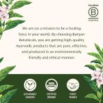 Banyan Botanicals Organic Immune Booster Powder Mix