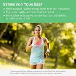 EZ Melts Iron Supplement 18 mg, Sugar-Free