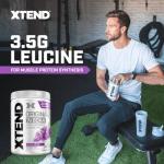 XTEND BCAA Powder Glacial Grape for Recovery
