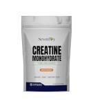 Pure Micronized Creatine Monohydrate, 280g