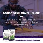 Host Defense Brain Capsules for Focus and Memory