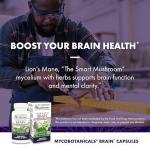 Host Defense Brain Capsules for Memory and Focus