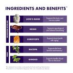 Host Defense Brain Capsules for Memory and Focus