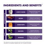 Host Defense Brain Capsules for Focus and Memory