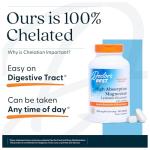 High Absorption Magnesium Glycinate, 100 mg, 240 Count