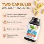 Zenwise No Bloat Digestive Enzymes and Probiotics