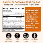 Zenwise No Bloat Digestive Enzymes and Probiotics