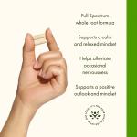 Swanson Ashwagandha Powder for Stress Relief & Energy