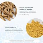 Premium Ashwagandha Root Extract Supplement