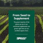 Trace Minerals & B12 for Immune Support - 90 Tabs