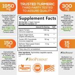 Turmeric Curcumin with Ginger & BioPerine 240 Capsules