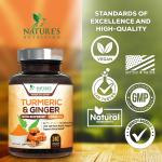Turmeric Curcumin with Ginger & BioPerine 240 Capsules