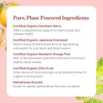 Heart Protector Capsules | Organic, Non-GMO, Vegan