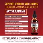 Korean Red Panax Ginseng Liquid for Energy & Vitality