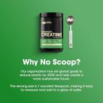 Optimum Nutrition Unflavoured Creatine Monohydrate