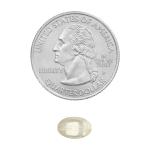 Spring Valley Vitamin D3 Softgels, 2000 IU, 200 Count