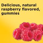 Nature Made Iron Gummies with Vitamin C, 70 Count