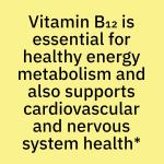 Spring Valley Liquid Vitamin B12 5000mcg Berry