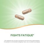 Nature's Way Asian Ginseng for Fatigue Relief, 100 Caps