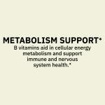 Spring Valley Super B-Complex 500 Tablets