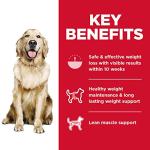 Hill’s Science Diet Adult Perfect Weight Dry Dog Food