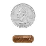 Spring Valley Saw Palmetto Capsules for Prostate Health