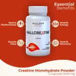Creatine Monohydrate - Muscle Growth & Recovery