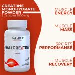 Creatine Monohydrate - Muscle Growth & Recovery