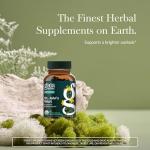 Gaia Herbs St. John's Wort for Stress Relief