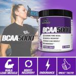 Evlution Nutrition BCAA5000 Powder – Furious Grape