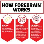 Force Factor Forebrain Memory Support Supplement, 30 Caps