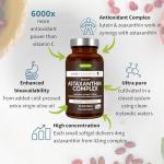 Astaxanthin Complex Oil, 90 Vegan Softgels