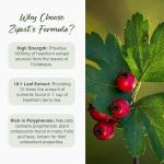 Zipvit 1000mg Hawthorn Berry Leaf Tablets, 90 Count