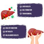 TUDCA 500mg Liver Support Supplement with Beet Root