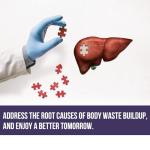 TUDCA 500mg Liver Support Supplement with Beet Root