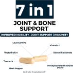 High Strength Glucosamine Chondroitin with MSM & Vitamin C