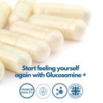 High Strength Glucosamine Chondroitin with MSM & Vitamin C