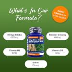 Ginkgo Biloba & Siberian Ginseng Energy Support Tablets