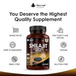 Shilajit Complex with Ashwagandha & Lion's Mane Capsules