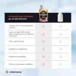 High-Dose Multivitamin Capsules, 13 Essential Vitamins