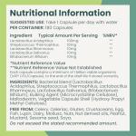 High Strength Vegan Probiotic Capsules for Gut Health