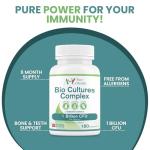 High Strength Vegan Probiotic Capsules for Gut Health